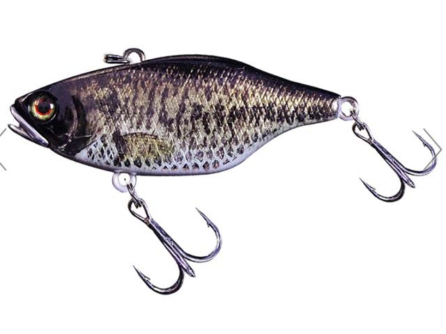 TN60 フルタングステンの商品画像