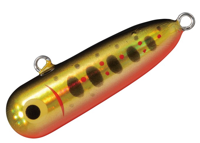 ゴールドアマゴ