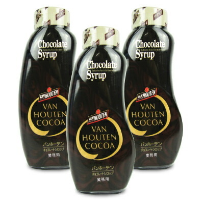 片岡物産 バンホーテン チョコレートシロップ 630g×3本の商品画像