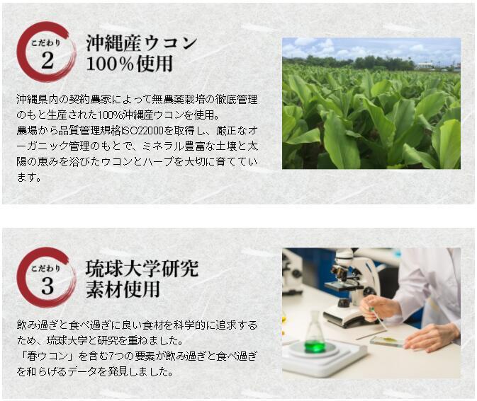  куркума 28% больше количество premium . лампочка sake . легенда 10 пакет (60. входить )*[ sake . легенда. Power Up VERSION ]