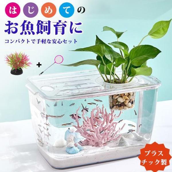  fishbowl set me Dakar transparent aquarium human work water plants fish net plastic bottle aquarium Bubble bowl bottle terrarium moss terrarium kokelium resin ABS made 