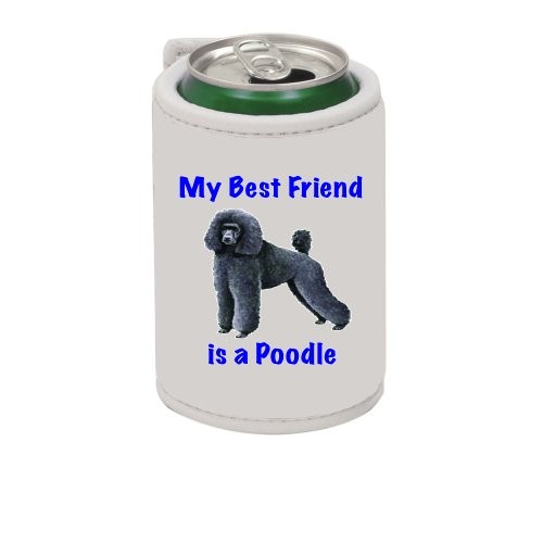 My Best Friend is Poodle Koo ji-