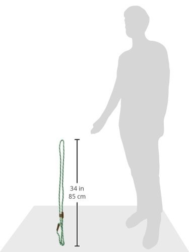 Mendota British Slip Lead 6ftX3/8in Seafoam by Mendota Products