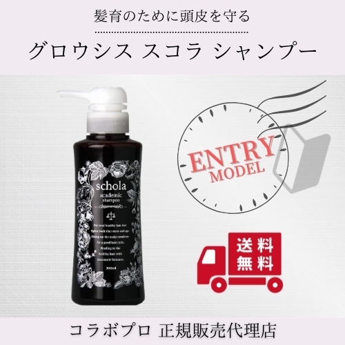 ACADEMIC schola ideaz コラボプロ アカデミック スコラ イデア シャンプー ポンプ 300ml×1個 ヘアシャンプーの商品画像