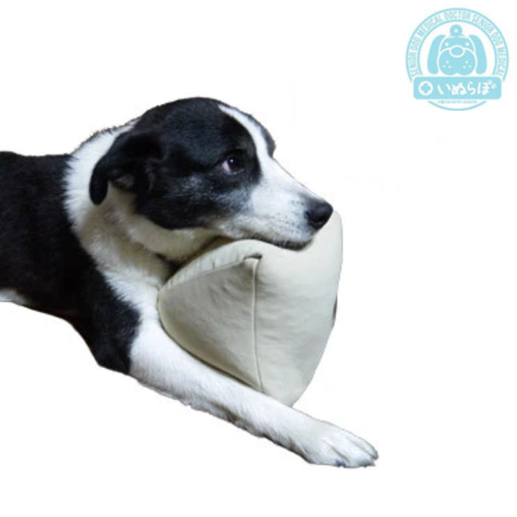 i... nursing for meal assistance cushion ( small )sinia dog . dog 