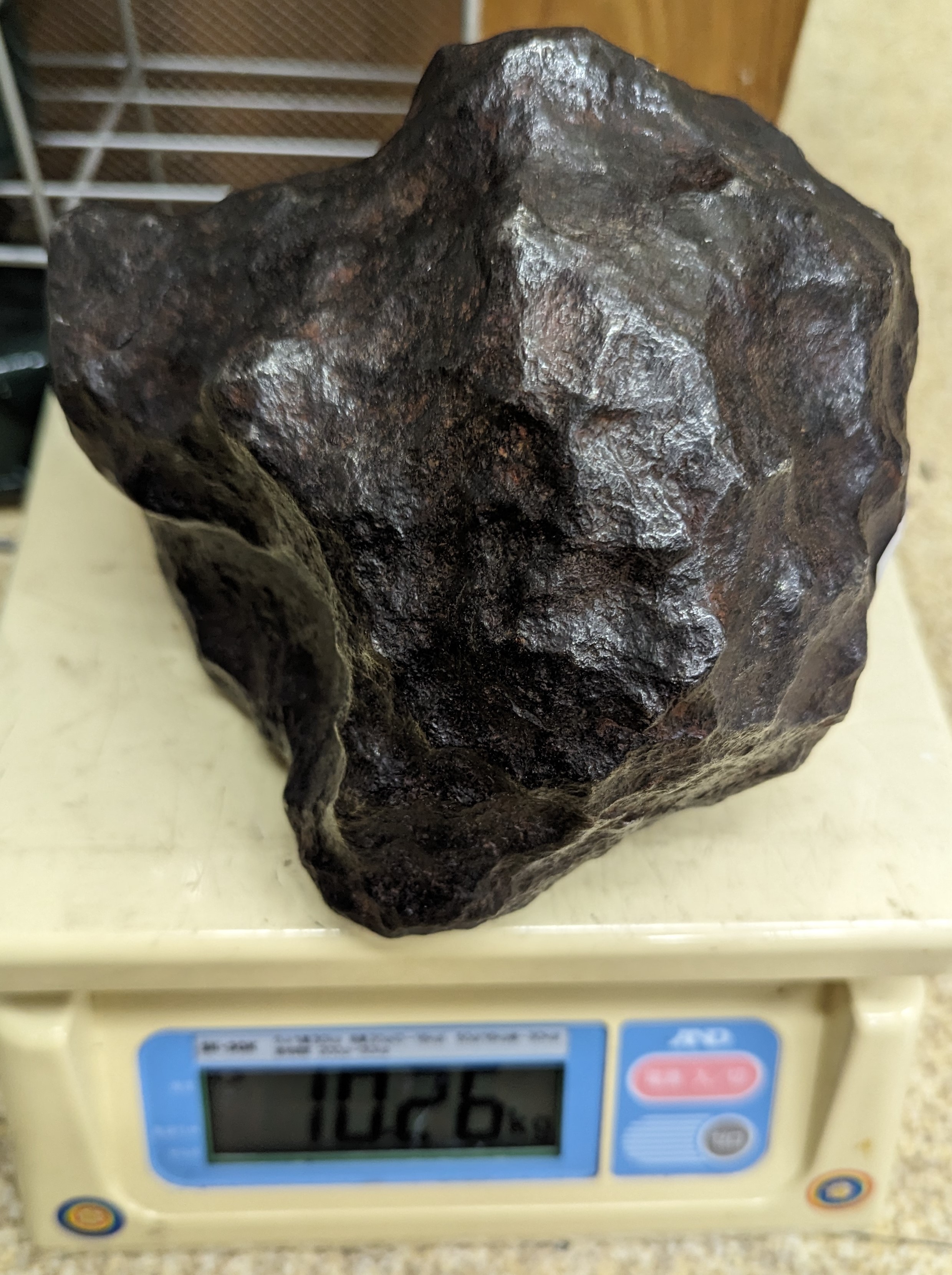 gi Beo n необогащённая руда [ очень большой ]10.24kg совершенно body Gibeon meteorite металлический метеорит 