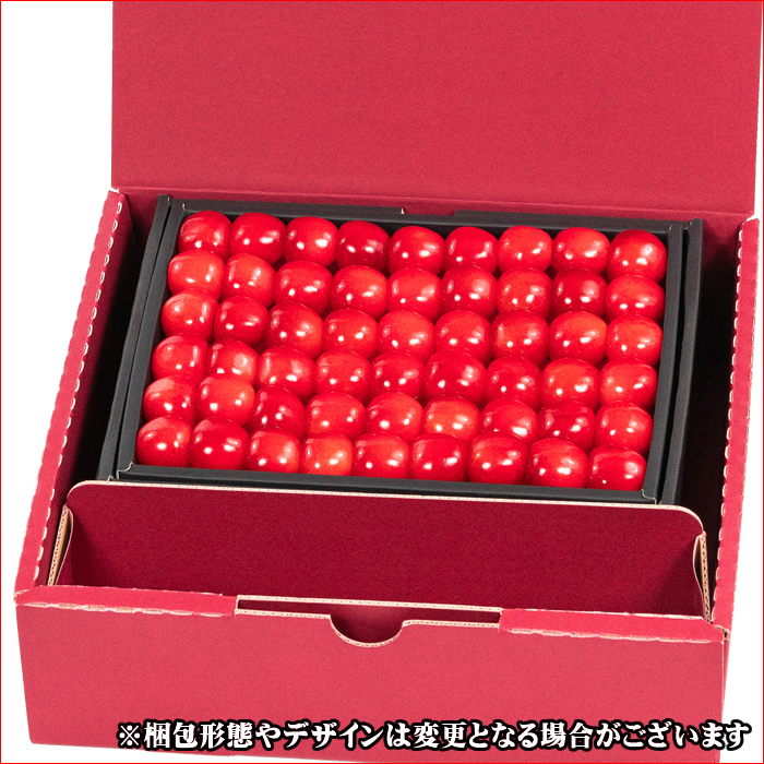 [6 month middle . from sequential shipping expectation / date designation OK] Yamagata prefecture production cherry Sato .500g(. ground / Special preeminence goods /L size / hand ../ vanity case )