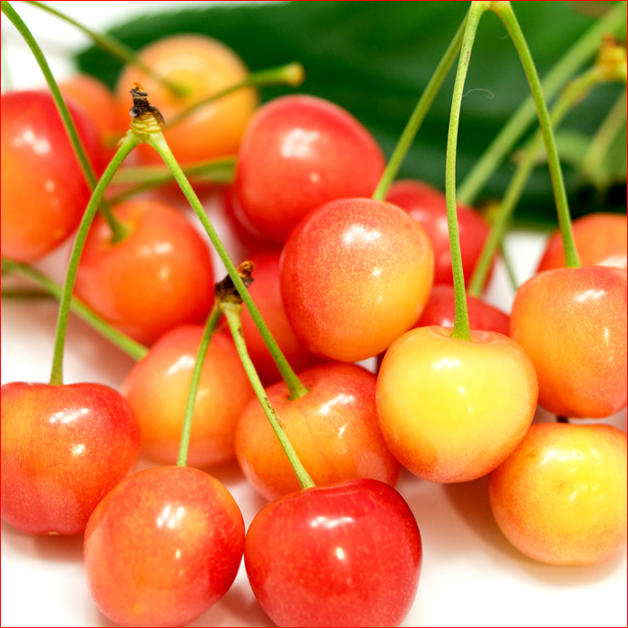 [6 month middle . from sequential shipping expectation / date designation OK]. home use Yamagata prefecture production cherry Sato .700g(. ground /M size /....)