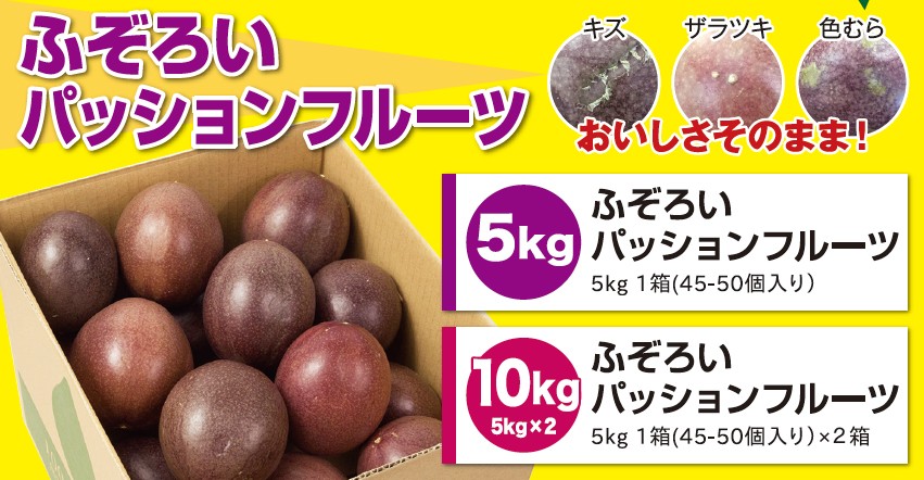沖縄 ふぞろいパッションフルーツ 定番 定番 5kg 45 50個入 2箱 人気 土産 5kg ご自宅用 送料無料 熱帯資源植物研究所 トロピカル フルーツ