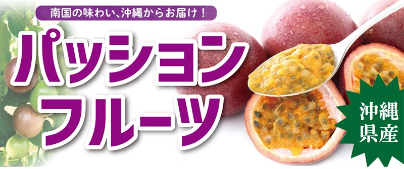 沖縄 ふぞろいパッションフルーツ 定番 定番 5kg 45 50個入 2箱 人気 土産 5kg ご自宅用 送料無料 熱帯資源植物研究所 トロピカル フルーツ