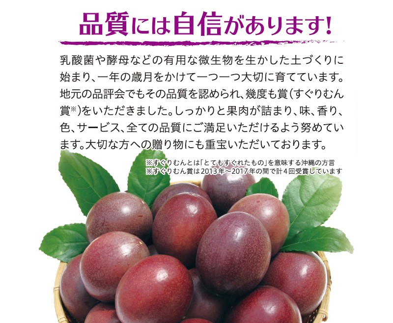 沖縄 ふぞろいパッションフルーツ 定番 定番 5kg 45 50個入 2箱 人気 土産 5kg ご自宅用 送料無料 熱帯資源植物研究所 トロピカル フルーツ