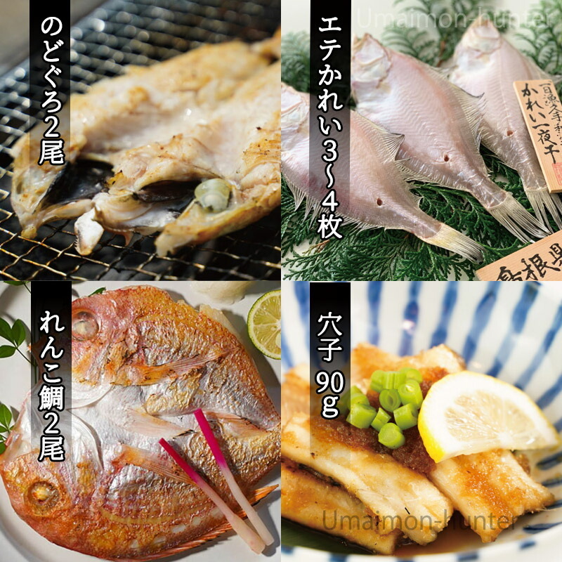 一日漁 島根沖一夜干 弁天 セット のどぐろ２尾 れんこ鯛２尾 エテかれい３ ４枚 穴子90ｇ 岡富商店 島根県 人気 魚介類 一夜干し 条件付き送料無料 Okat Bentn 0000 Nm 001 旨いもんハンター 通販 Yahoo ショッピング