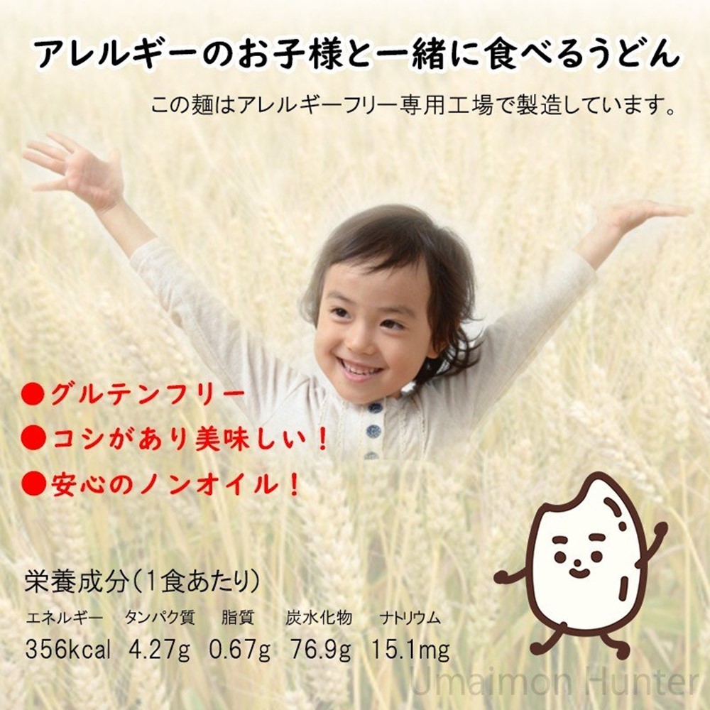 注目ブランド グルテンフリー オイルカット太麺 100g 100袋 レイ企画 沖縄 土産 人気 米粉麺 ノンオイル アレルギー アトピー お米のうどん 除去食 代替食 条件付き送料無料 激安単価で Www Thedailyspud Com