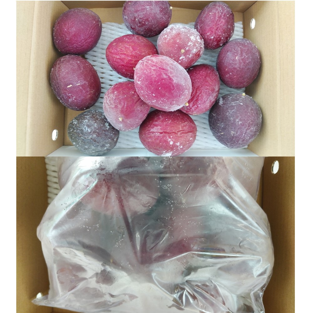  Okinawa prefecture production passionfruit freezing approximately 1kg 13~16 sphere ×1 box sun child agriculture .