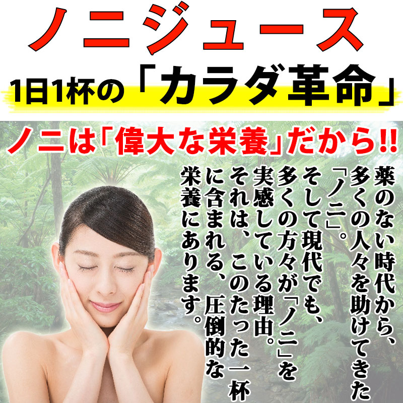 珍しい 島のに100 ジュース 500ml 4本 渡具知 沖縄 人気 定番 土産 飲料 ハーブの女王 ノニ果汁100 沖縄土産にも最適なノニジュース Talentoincluir Com Br