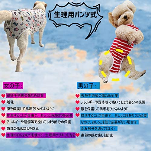 Kukaster Pet. после одежда бедра брюки менструация брюки защита одежда самец самка двоякое применение .. мужской .. направление .. царапина . защита кожа болезнь ( красный окантовка M)