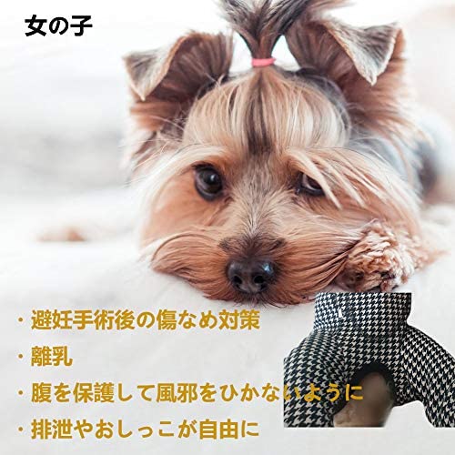 Kukaster Pet собака кошка. одежда осень-зима одежда средний маленький размер собака кошка . после одежда . после одежда . после покрытие одежда защита одежда самец самка двоякое применение ....( тысяч птица ..S)