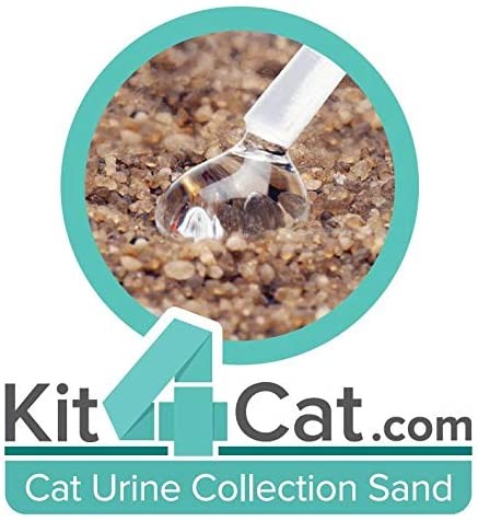 Kit4Cat Hydrophobic Sand 2 lb bag by Kit4Cat