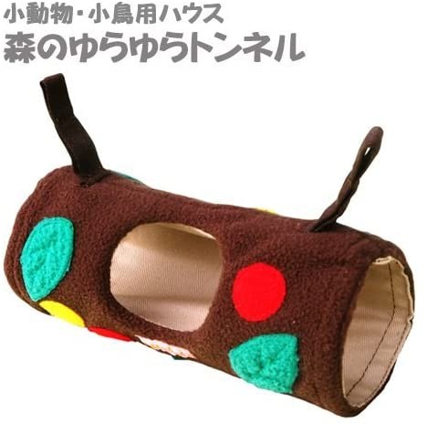 Rainbow (Rainbow) лес. .... тоннель Brown ( Brown -)
