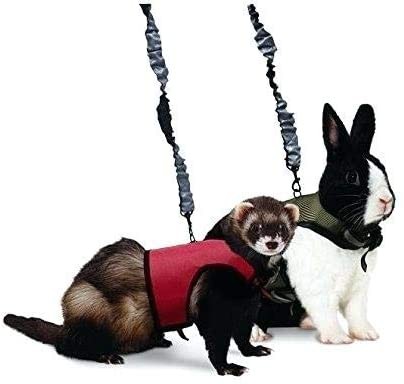 KAYTEE ( Katie -) мелкие животные для комфорт Harness стрейч Lead имеется мышь morumoto хорек и т.п. (M ( шея вокруг 18-23