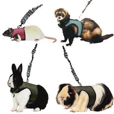 KAYTEE ( Katie -) мелкие животные для комфорт Harness стрейч Lead имеется мышь morumoto хорек и т.п. (M ( шея вокруг 18-23