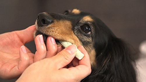  домашнее животное kis(PETKISS) собака для закуска еда последующий зуб ... жевательная резинка супер мягкость модель миниатюрный собака для маленьких собак /sinia собака для (- 100g×2 шт )