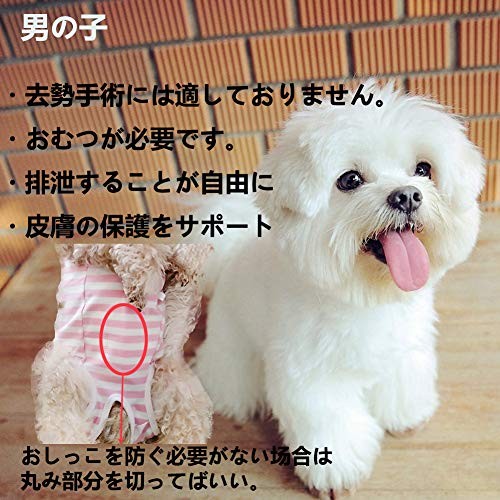 Kukaster Pet домашнее животное . после одежда . после одежда . после покрытие одежда собака сопутствующие товары защита одежда одежда самец самка двоякое применение .... царапина . защита ( розовый окантовка S)