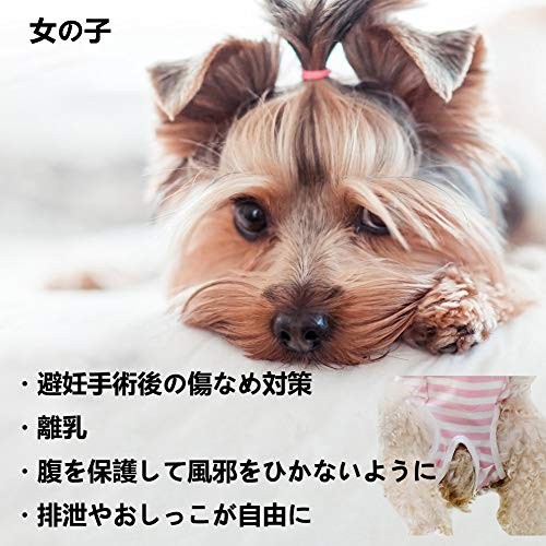 Kukaster Pet домашнее животное . после одежда . после одежда . после покрытие одежда собака сопутствующие товары защита одежда одежда самец самка двоякое применение .... царапина . защита ( розовый окантовка S)