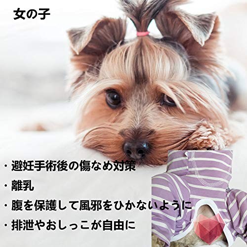Kukaster Pet. после одежда осень-зима одежда . после одежда . после покрытие одежда защита одежда .... царапина . защита кожа болезнь средний маленький размер собака кошка ( лиловый окантовка M)