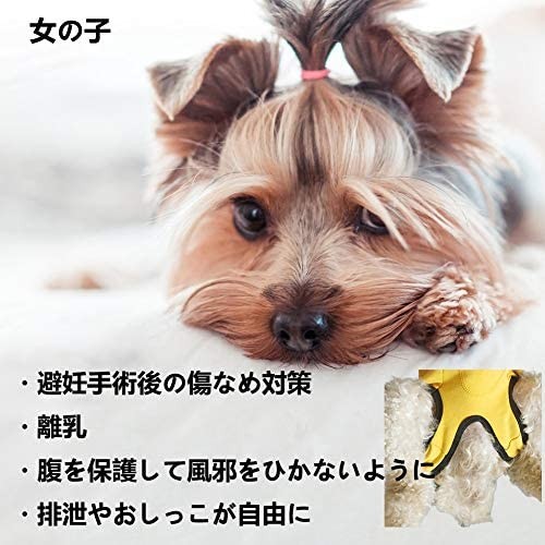 Kukaster Pet средний маленький размер собака кошка одежда . после одежда . после одежда . после покрытие одежда защита одежда самец самка двоякое применение .... царапина . защита кожа болезнь (.....S)