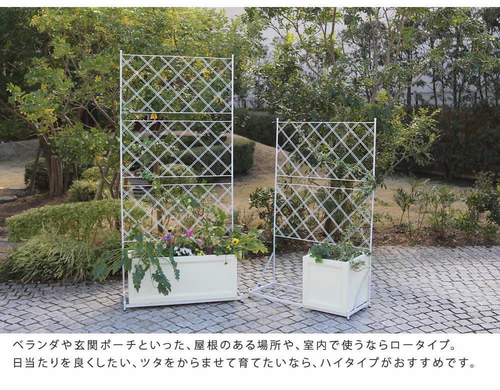  сад забор посадочная машина подставка имеется steel садоводство садоводство tsuta растения роза зеленый занавески 