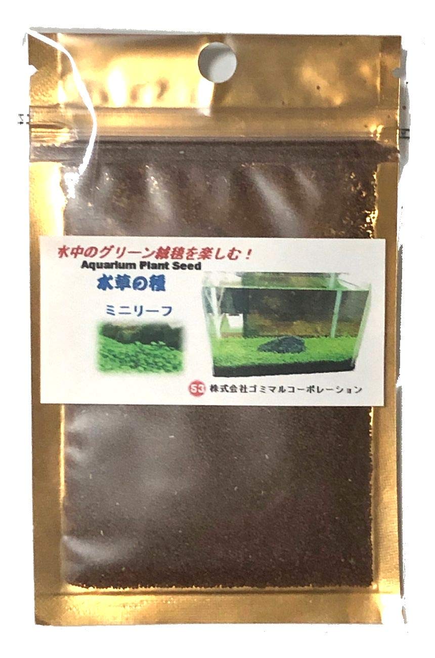  подводный. зеленый .. водоросли. вид Mini leaf 