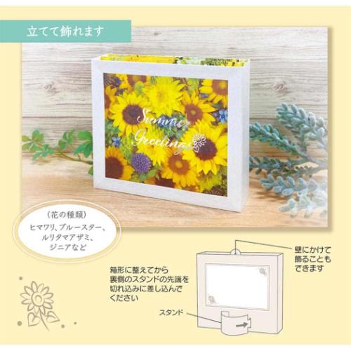 поздравительная открытка siyochiyuuJSP 38-5 summer hi вокруг цветок box Sanrio жара средний . видеть Mai .