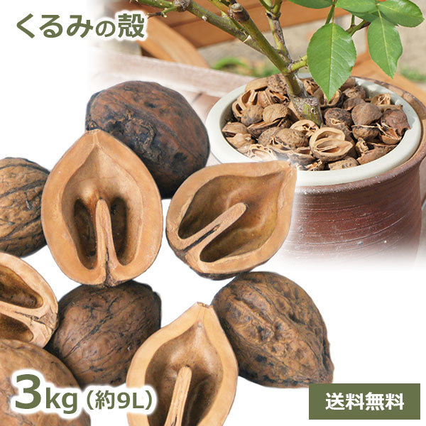  walnut. .3kg approximately 9 liter free shipping Japan domestic production ... from multi ng material bark chips gardening gardening material planter .. prevention yellow gold insect measures nature .. support 