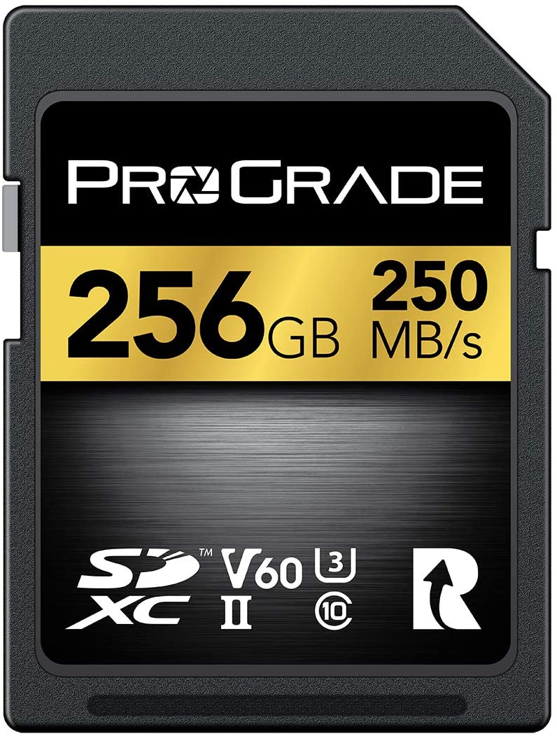 ProGrade Digital GOLD 250R PGSD256GBKJP （256GB） SDカードの商品画像