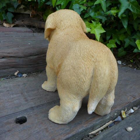  dog. ornament Rav Rado ru.. dog animal T14071 ornament garden objet d'art garden miscellaneous goods gardening interior miscellaneous goods mascot 