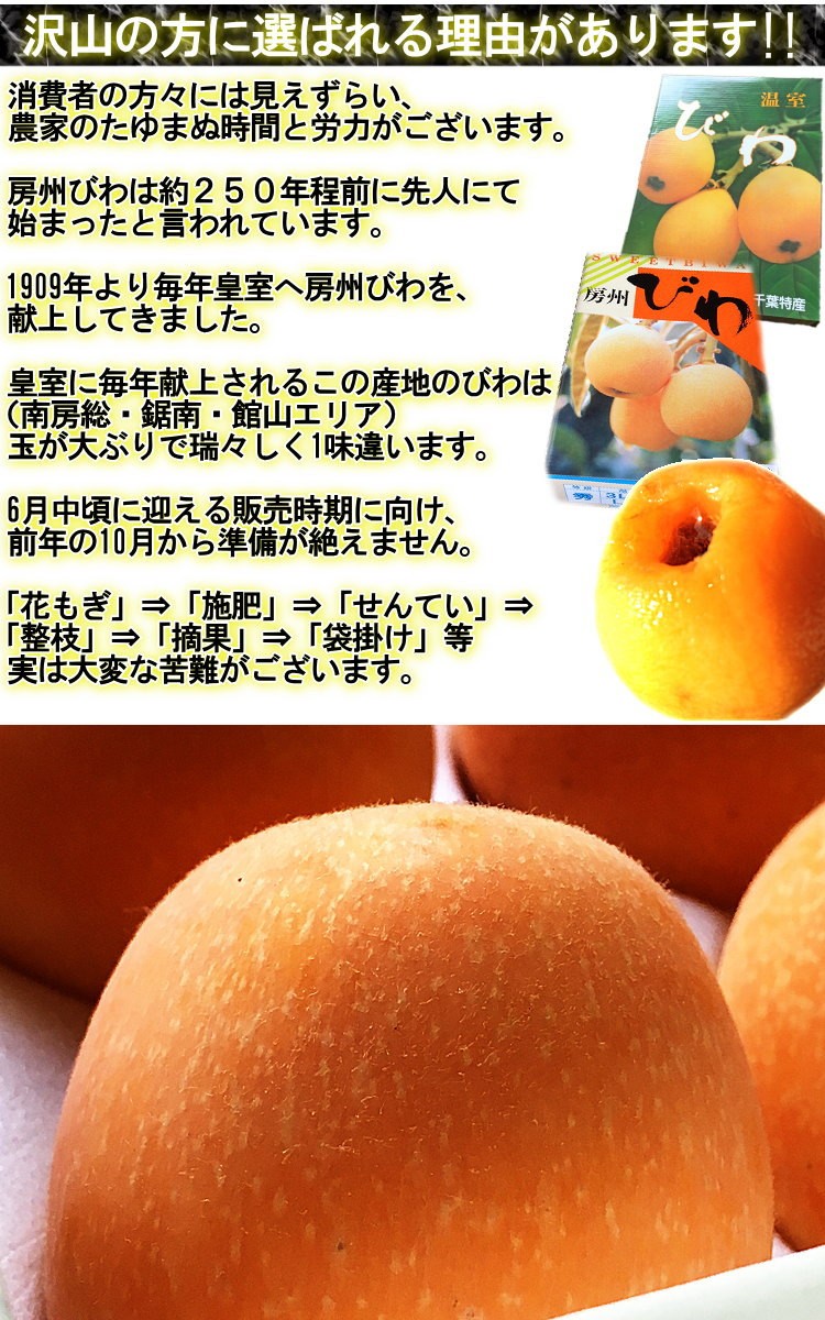  direct delivery from producing area .. loquat Chiba prefecture production 2L size 12~15 sphere entering preeminence goods vanity case entering .. optimum genuine. ... delivery!