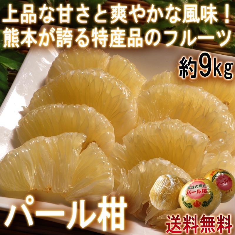 パール柑 柑橘