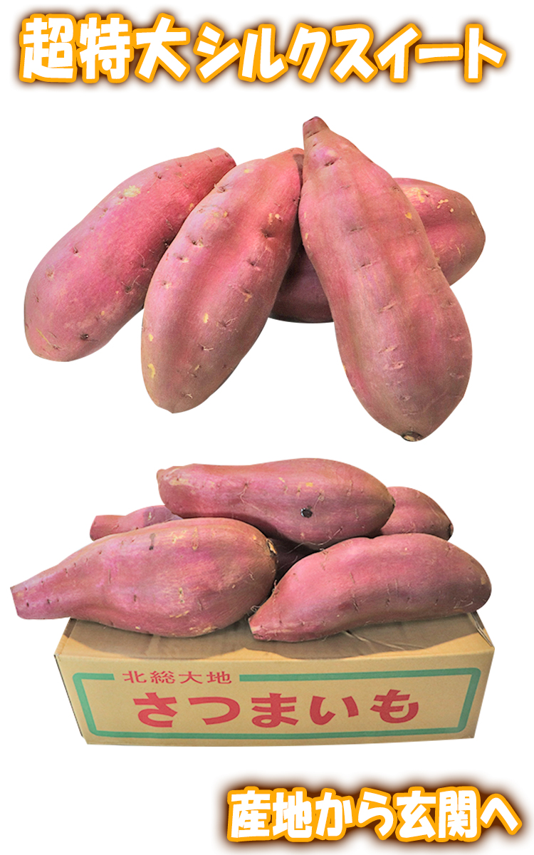  silk sweet extra-large sweet potato approximately 10kg L~3L size Chiba prefecture * Ibaraki prefecture production profit for home use limitation production ground boxed smooth . meal feeling .... only. ..!