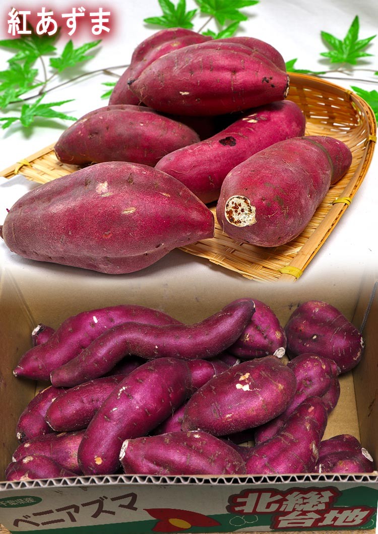 ....*. is ..*........ sweet potato approximately 5kg Chiba prefecture * Ibaraki prefecture production goods with special circumstances . thickness . taste . nutrition abundance ... vegetable!.. overflow Satsuma corm . delivery 