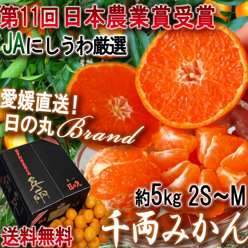 日の丸千両 みかん