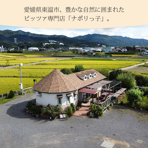 ナポリっ子の愛媛産釜揚げシラスのピッツァの画像1