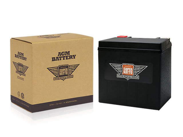 SUPER NATTO super nut Harley exclusive use AGM battery [ super nut ]