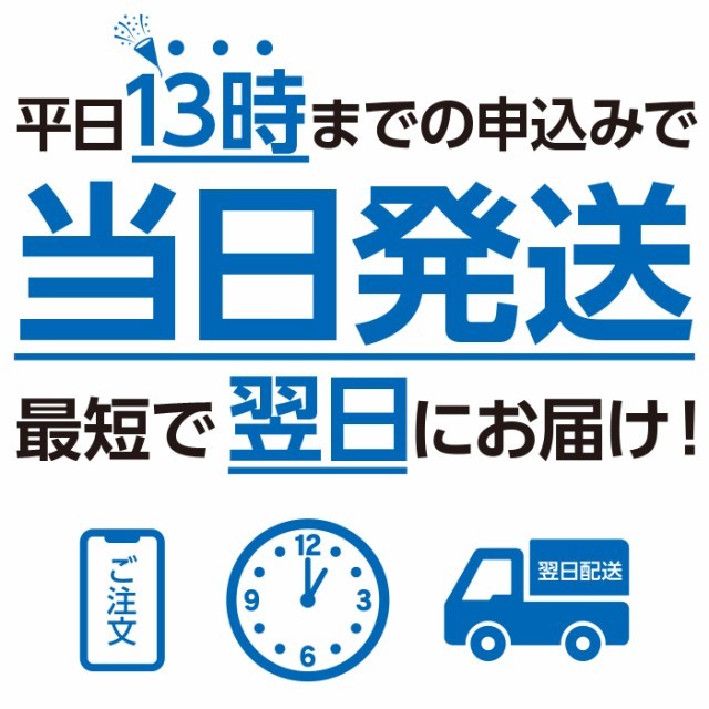 Softbank回線使用 データ通信無制限 Wifiレンタル 30日間 ギガランキングｊｐ