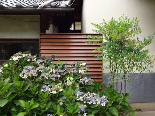  специальный заказ жалюзи забор Takumi щеки цвет высота + ширина = всего 150cm в пределах высокая прочность натуральное дерево производства глаз .. решетка размер заказ веранда сделано в Японии 