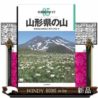 ウォーターウォーキング 誰でも楽しめる超カンタン沢歩き 3 丹沢