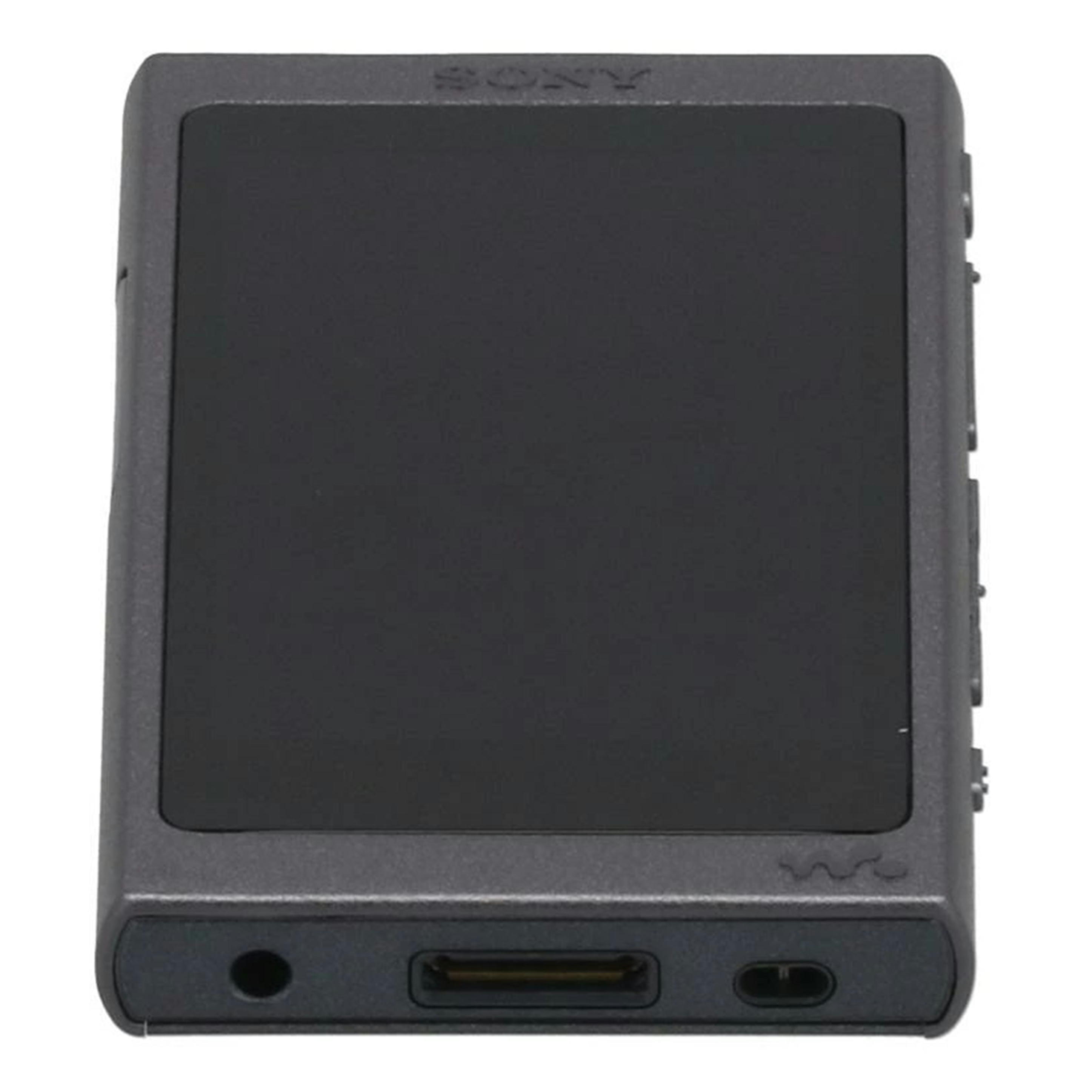 SONY ウォークマン Aシリーズ NW-A30シリーズ NW-A36HN （P） ボルドー