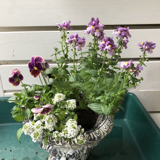 ガーデン雑貨 ガーデニング プランター 鉢 フラワーベース グレー gray