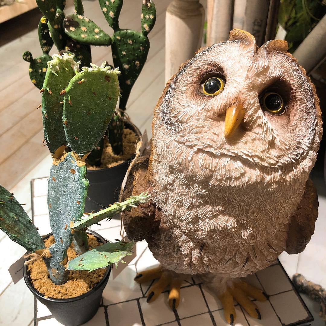 ふくろう フクロウ 梟 フクロウの置物 アンティーク 置物
