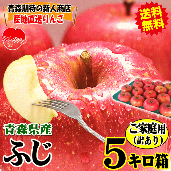 . series Aomori apple si nano sweet 5kg box [ cool flight ] home use / with translation Aomori apple with translation 5 kilo box * sweet house translation 5kg box 